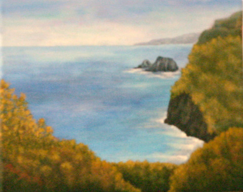 Pololu Valley Lookout